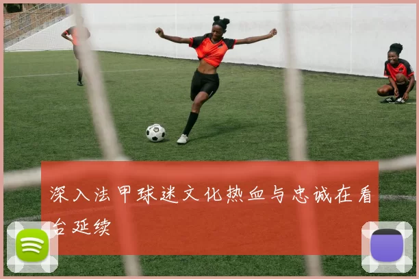 深入法甲球迷文化热血与忠诚在看台延续