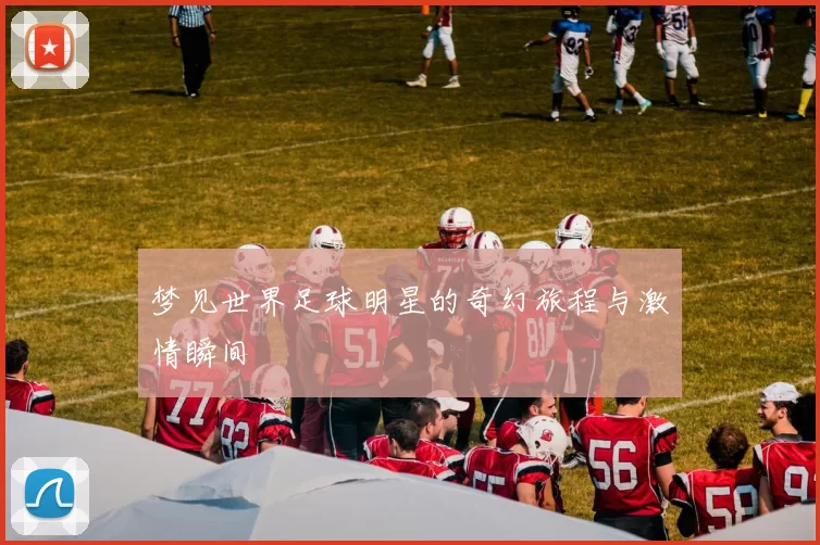 梦见世界足球明星的奇幻旅程与激情瞬间