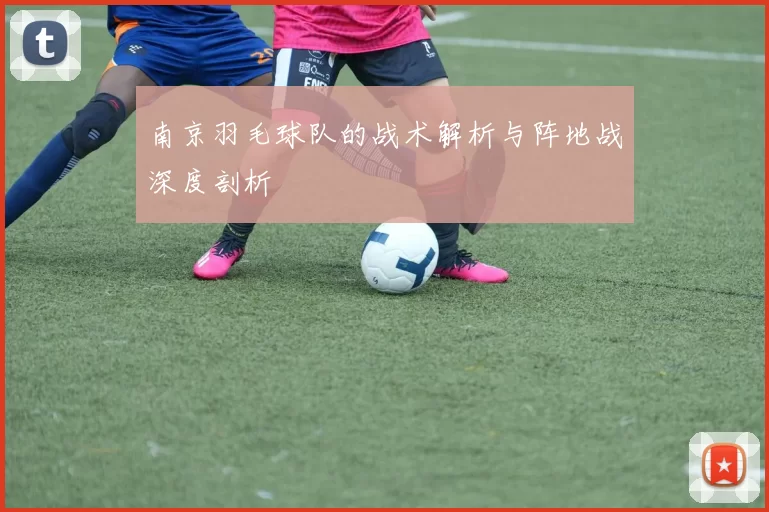 南京羽毛球队的战术解析与阵地战深度剖析